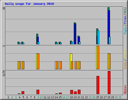 Daily usage for January 2010
